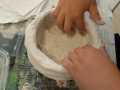 IMG-20210710-WA0003